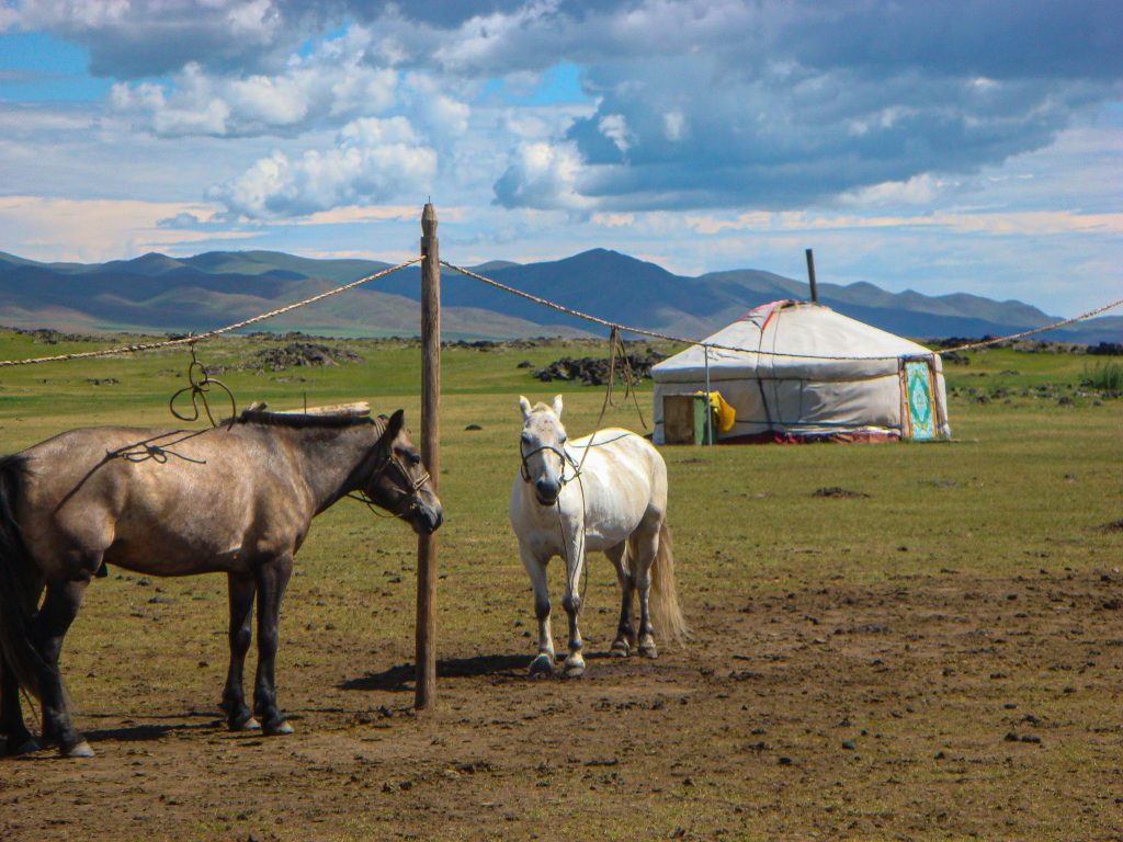 Herost - Ger Mongolia